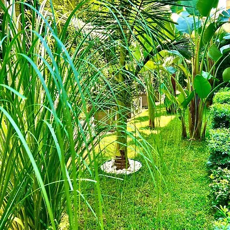 Appartement 25 - Cleopatra Exclusive, Center